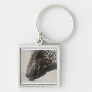 Indian Crested Porcupine Keychain