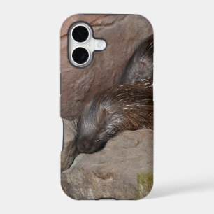 Indian Crested Porcupines iPhone 17 Case