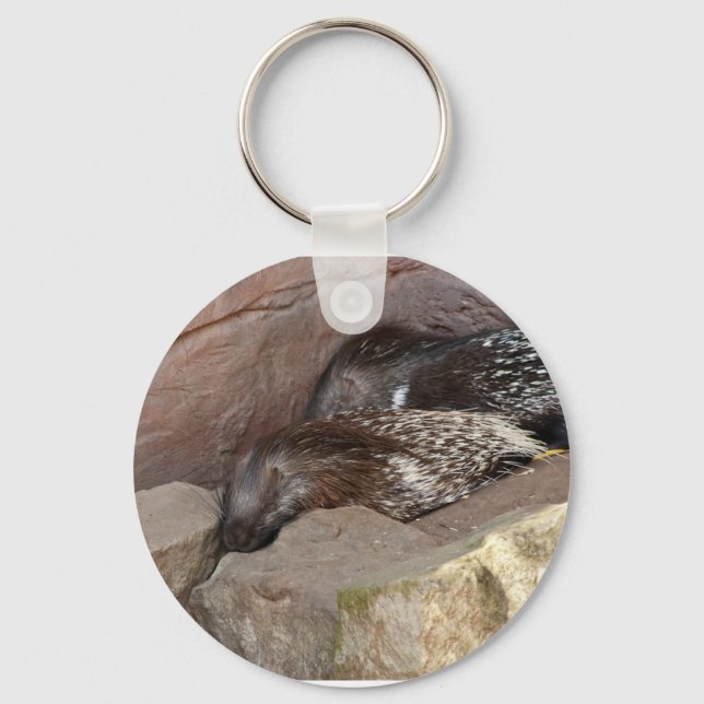 Indian Crested Porcupines Keychain (Front)