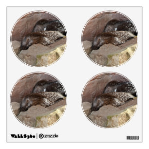 Indian Crested Porcupines Wall Decal