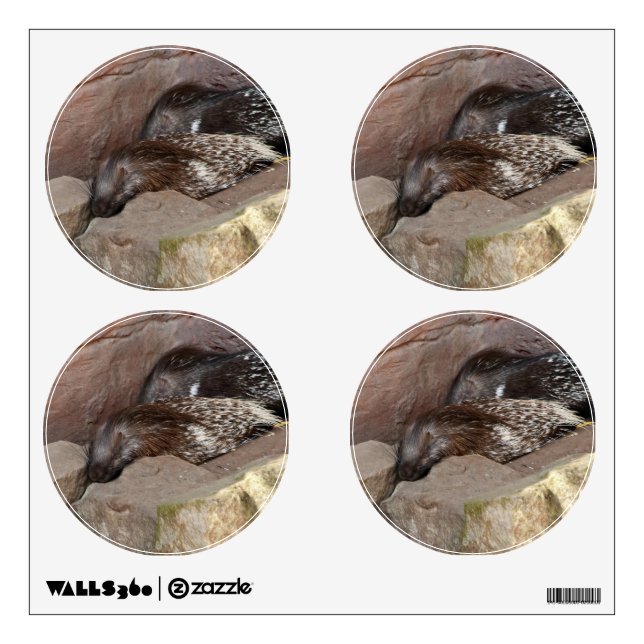 Indian Crested Porcupines Wall Decal (Front)