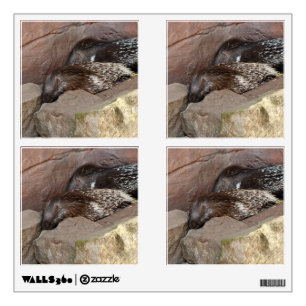 Indian Crested Porcupines Wall Decal