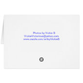 Indian Dance for Peace Cards (Back Horizontal)