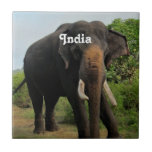 Indian Elephant Ceramic Tile