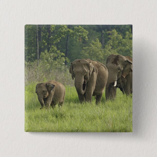 Indian Elephant Family Button (Front)
