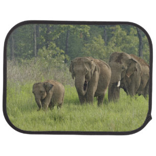 Indian Elephant Family Car Floor Mat