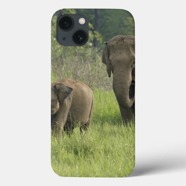 Indian Elephant Family Case-Mate iPhone Case (Back)