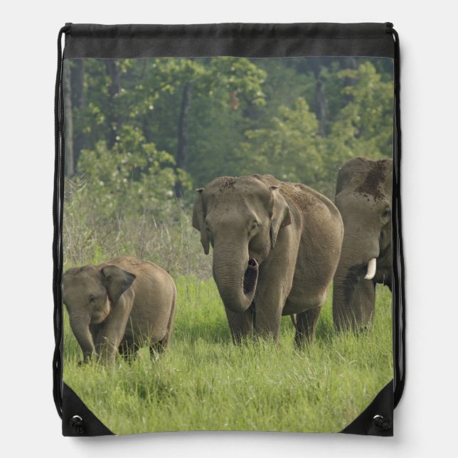 Indian Elephant Family Drawstring Bag (Front)