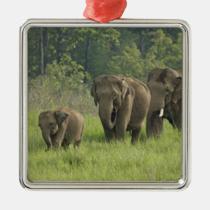 Indian Elephant Family Metal Ornament