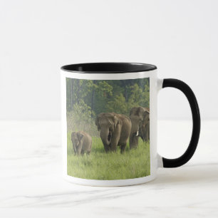 Indian Elephant Family Mug