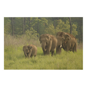 Indian Elephant Family Wood Wall Decor