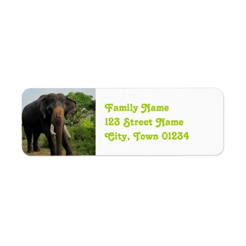 Indian Elephant Label