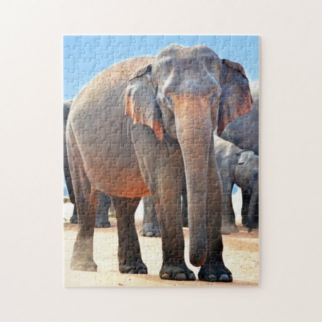 Indian Elephant Sri Lanka. Jigsaw Puzzle (Vertical)