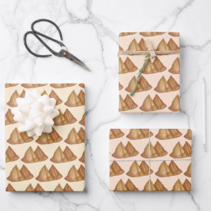 Indian Food Vegetarian Cooking Fried Samosa Pastry Wrapping Paper Sheets
