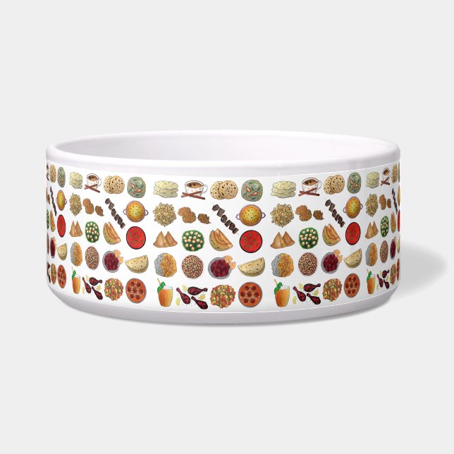 Indian Foods Dishes Cuisine of India Illustration (Front)