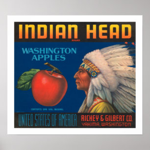 Indian Head Poster