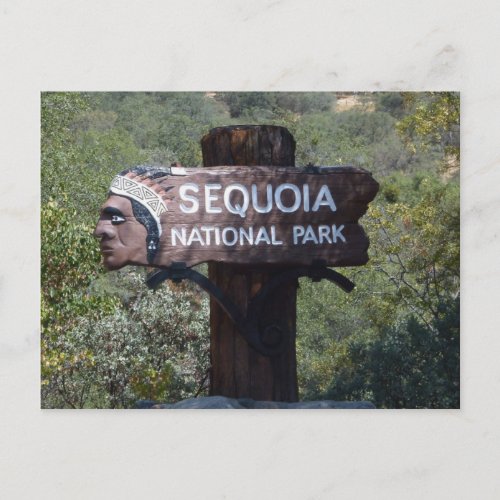 Indian Head Sequoia National Park Sign Postcard