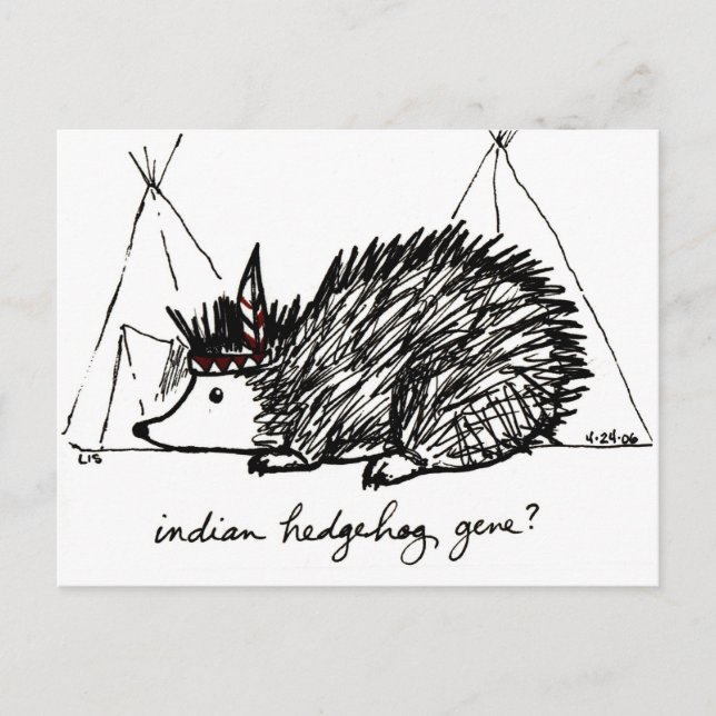 Indian Hedgehog Gene postcard (Front)