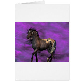 Indian Horse Cards