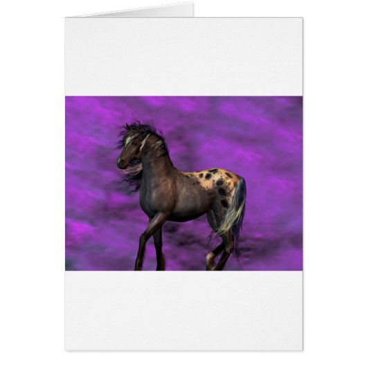 Indian Horse Cards (Front)
