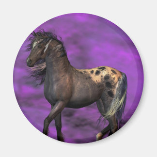 Indian Horse Magnet