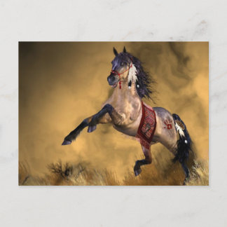 Indian Horse Postcard