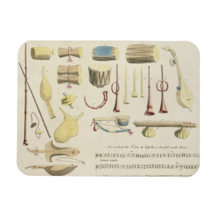 Indian Musical Instruments, plate 23 from 'Orienta Magnet