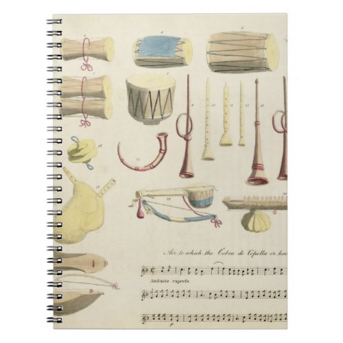 Indian Musical Instruments plate 23 from Orienta Notebook