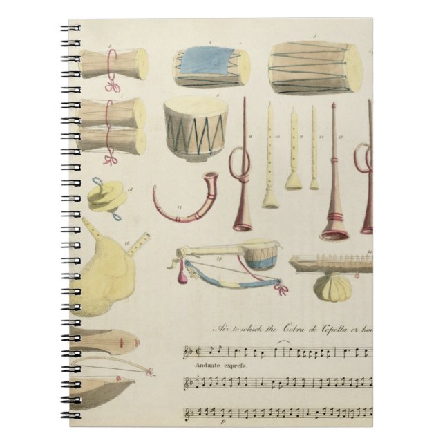 Indian Musical Instruments, plate 23 from 'Orienta Notebook (Front)
