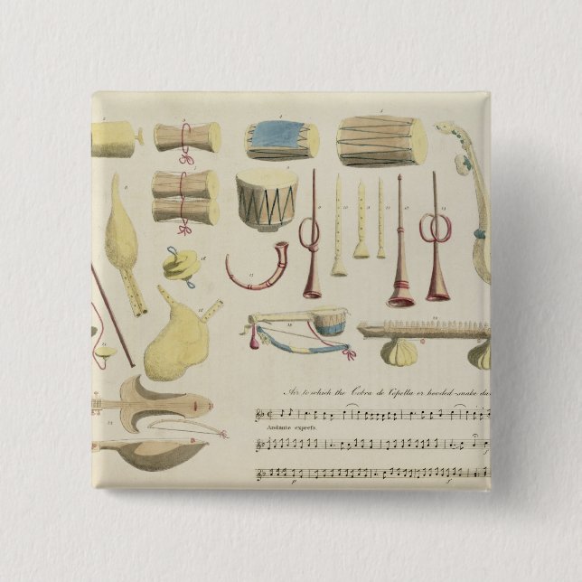 Indian Musical Instruments, plate 23 from 'Orienta Pinback Button (Front)