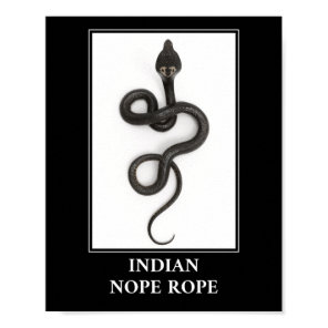 Indian Nope Rope - Cobra Snake Danger Poster