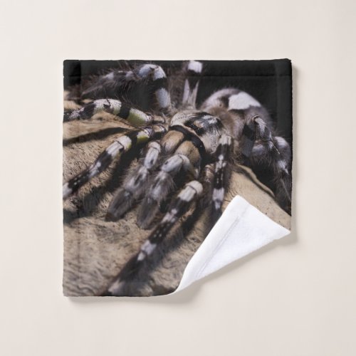 Indian ornamental tarantula spider wash cloth