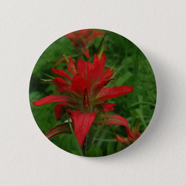 Indian paint brush button (Front)