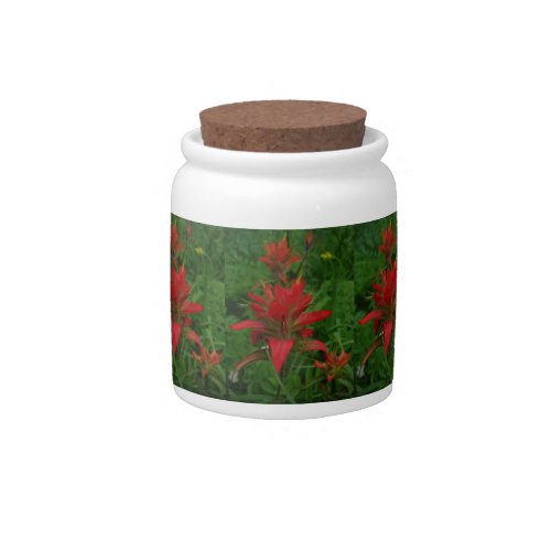 Indian paint brush candy jar