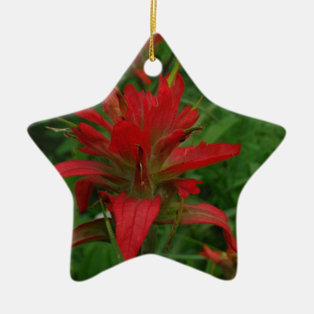 Indian paint brush ceramic ornament (Front)