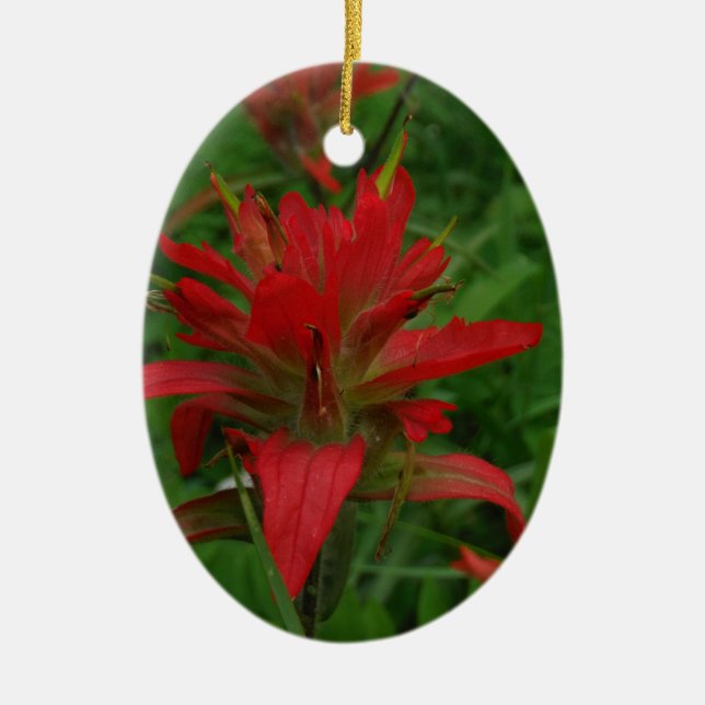 Indian paint brush ceramic ornament (Front)