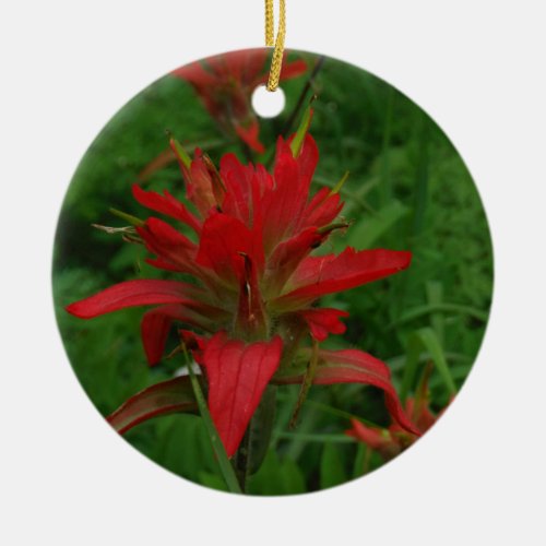 Indian paint brush ceramic ornament