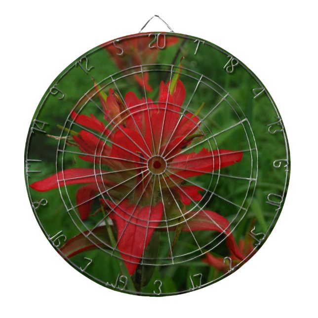 Indian paint brush dart board (Front)