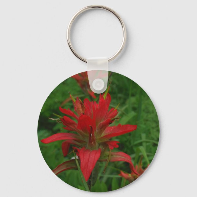 Indian paint brush keychain (Front)