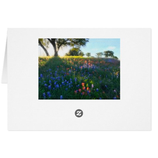 Indian Paintbrush (Back Horizontal)