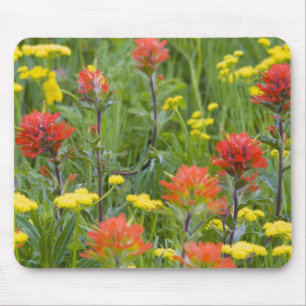 Indian paintbrush and biscuitroot wildflowers mouse pad
