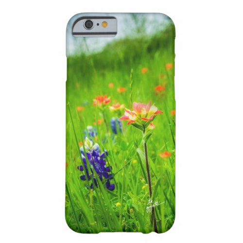 Indian Paintbrush and Bluebonnets iPhone Cases