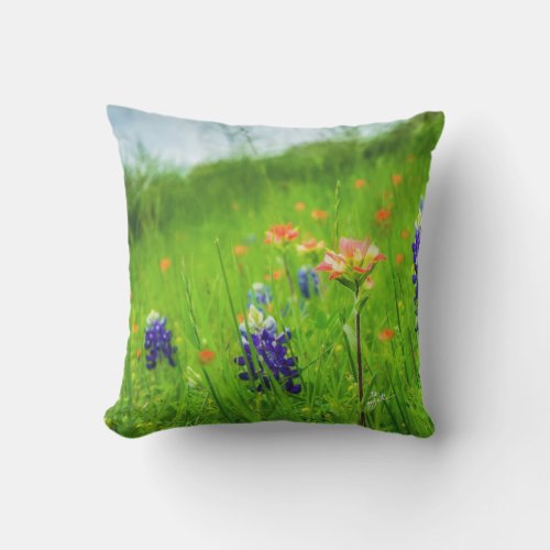 Indian Paintbrush and Bluebonnets Throw Pillows