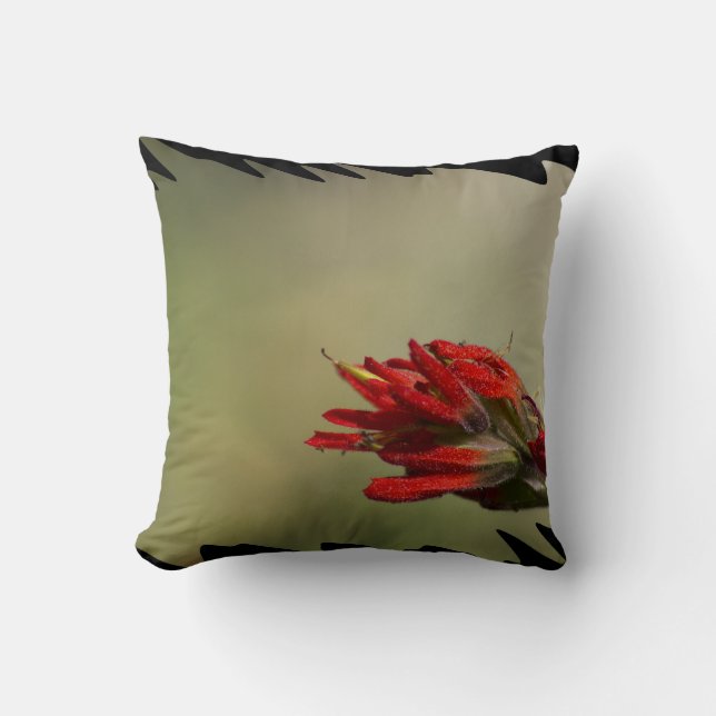 Indian Paintbrush Black Edge Throw Pillow (Front)