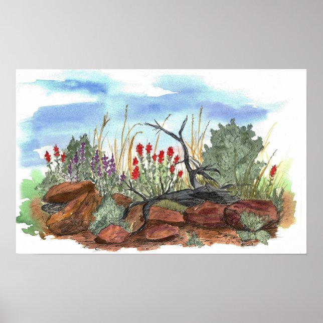 Indian Paintbrush Flowers Desert Landscape Poster (Front)
