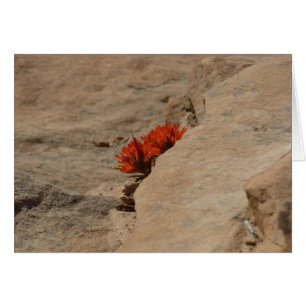 Indian Paintbrush in Rocks at Zion Cards