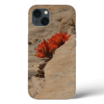 Indian Paintbrush in Rocks at Zion iPhone 13 Case