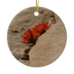Indian Paintbrush in Rocks at Zion Ceramic Ornament