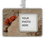 Indian Paintbrush in Rocks at Zion Christmas Ornament