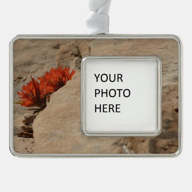 Indian Paintbrush in Rocks at Zion Christmas Ornament (Front)